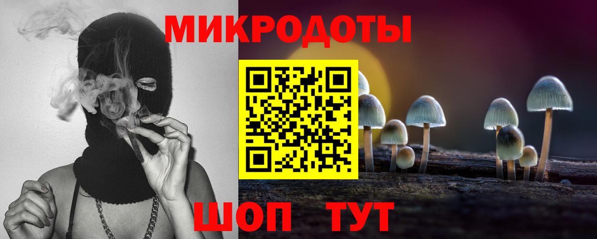 Щёлково  продажа наркотиков  Вход с VPN  Псилоцибиновые грибы Psilocybine cubensis 